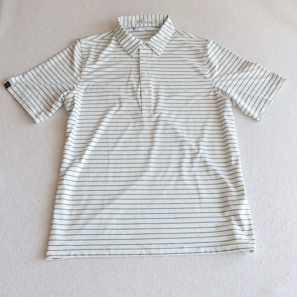 Criquet Mens Performance Golf Polo Shirt Large White Blue Striped Short Sleeve - Picture 2 of 8